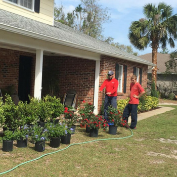 lawn care professionals installing landscape